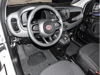 Neu Fiat Panda 69 PS (50 kW) 2025 Weiß (colore esterno (weiss)) Kleinwagen