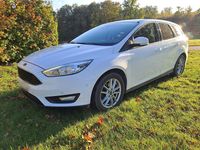 Usata Ford Focus 120 CV (88 kW) 2017 Bianco Station wagon