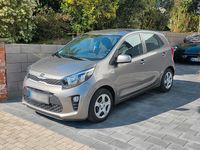 Gebraucht Kia Picanto Edition 7 67 PS (49 kW) 2019 Braun Kleinwagen