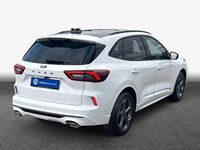 Gebraucht Ford Kuga ST-Line X 151 PS (111 kW) 2024 Weiß SUV