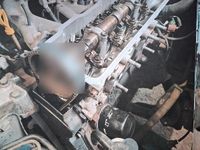 Gebraucht Toyota Starlet 75 PS (55 kW) 1991 Grün Kleinwagen