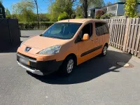 Usata Peugeot Partner 2009 Andere farben