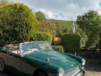 Gebraucht Austin Healey Sprite 59 PS (43 kW) 1964 Grün Cabrio