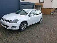 Gebraucht VW Golf VII 150 PS (110 kW) 2016 Weiß Kleinwagen