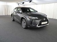 gebraucht Lexus UX 300e 300e Komfort-Paket LED/CAR-PLAY/KAMERA/17