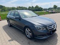 Gebraucht Mercedes E220 Edition 170 PS (125 kW) 2014 Grau Kombi