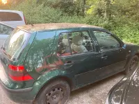Gebraucht VW Golf III 1998 Grün Limousine
