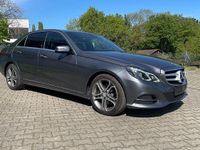 Gebraucht Mercedes E250 Avantgarde 204 PS (150 kW) 2016 Grau Kombi