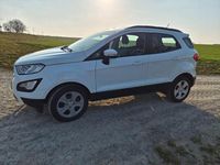 Gebraucht Ford Ecosport Trend 101 PS (74 kW) 2020 Weiß SUV