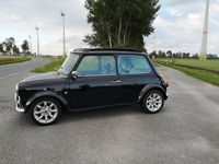 gebraucht Mini 1300 