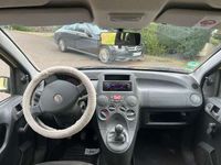 gebraucht Fiat Panda Panda1.2