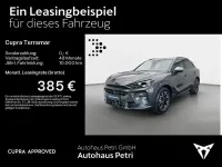 Gebraucht Cupra Terramar 204 PS (150 kW) 2025 Timanfayagrau SUV
