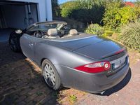 Gebraucht Jaguar XK 298 PS (219 kW) 2008 Grau Cabrio