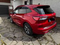 Gebraucht Ford Kuga ST-Line X 152 PS (111 kW) 2020 Rot SUV