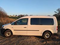 Gebraucht VW Caddy Maxi 102 PS (75 kW) 2012 Weiß Van / Kleinbus