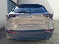 Gebraucht Mazda CX-30 140 PS (102 kW) 2025 Braun SUV
