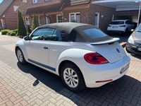 Usata VW Beetle 105 CV (77 kW) 2015 Bianco Utilitaria