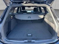 Gebraucht Ford Focus 116 PS (85 kW) 2024 Agate black metallic Kombi