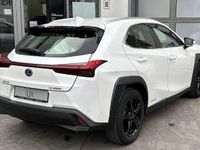Gebraucht Lexus UX 250h Executive Line 184 PS (135 kW) 2022 Weiß SUV