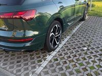 Brugt Audi e-tron Ambiente 230 kW (313 HK) 2021 Grøn SUV
