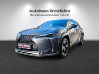 Gebraucht Lexus UX 250h 152 PS (111 kW) 2023 Grün SUV