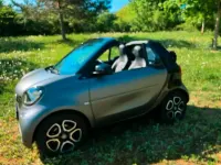 Używany Smart ForTwo Cabrio Prime 90 KM (66 kW) 2016 Szary Kabriolet