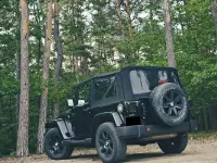 Gebraucht Jeep Wrangler Sahara 284 PS (208 kW) 2016 Schwarz SUV