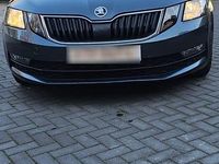 Gebraucht Skoda Octavia 150 PS (110 kW) 2018 Grau Kombi