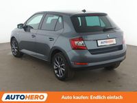 Gebraucht Skoda Fabia Soleil 75 PS (55 kW) 2019 Grau Kleinwagen