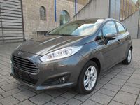 Gebraucht Ford Fiesta Trend 80 PS (58 kW) 2015 Grau Kleinwagen