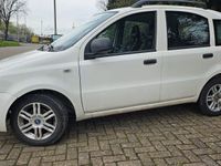 gebraucht Fiat Panda 1.3 16V JTD Dynamic,Klima,Lm,