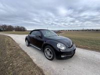 Gebraucht VW Beetle Allstar 105 PS (77 kW) 2016 Schwarz Kleinwagen