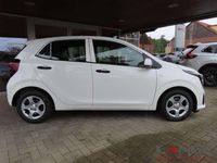 Neu Kia Picanto Edition 7 68 PS (50 kW) 2025 (ud)clear white Kleinwagen