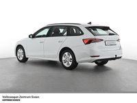 Gebraucht Skoda Octavia Ambition 116 PS (85 kW) 2023 Weiss Kombi