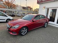 Gebraucht Mercedes E250 Avantgarde 211 PS (155 kW) 2014 Designo metalliclackierung Limousine