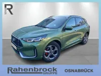 Gebraucht Ford Kuga ST-Line X 179 PS (131 kW) 2025 Bursting green (grün) (metallic) SUV
