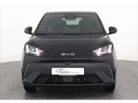Nowe BYD Dolphin Surf Boost 64 kW (88 KM) 2026 Czarny Hatchback