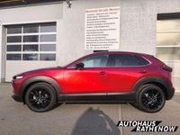 Neu Mazda CX-30 186 PS (136 kW) 2025 Andere SUV