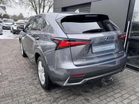 Gebraucht Lexus NX300h 197 PS (144 kW) 2019 Grau SUV