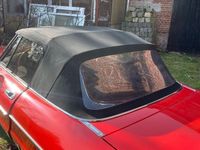 Gebraucht Alfa Romeo Spider 111 PS (81 kW) 1980 Rot Cabrio