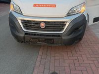 Second-hand Fiat Ducato 2019 Alb Van