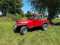 Gebraucht Jeep Wrangler 1992 Rot SUV