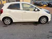 Gebraucht Kia Picanto 67 PS (49 kW) 2017 Weiß Kleinwagen