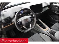 Neu Cupra Born VZ2 239 kW (326 PS) 2026 Grün (dark forest) Kleinwagen