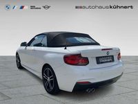 gebraucht BMW 220 i Cabrio ///M-Sport HiFi H-K ACC 1.Hand DAB