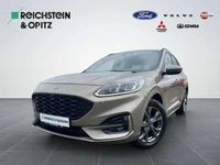 Gebraucht Ford Kuga ST-Line X 150 PS (110 kW) 2020 Pyrit silber SUV