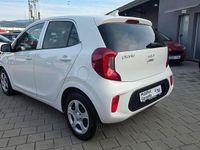 Gebraucht Kia Picanto Vision 84 PS (61 kW) 2023 Weiß Kleinwagen