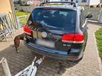 gebraucht VW Touareg R5 TDi