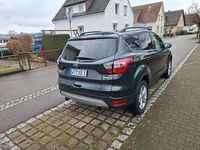 Gebraucht Ford Kuga Titanium 182 PS (133 kW) 2017 Grün SUV