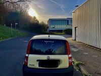 Gebraucht Fiat Panda 54 PS (39 kW) 2009 Gelb Kleinwagen